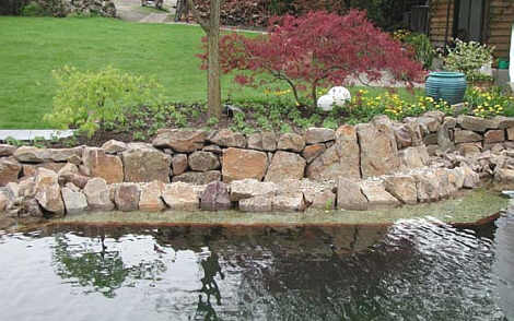 Trockenmauer am Teich